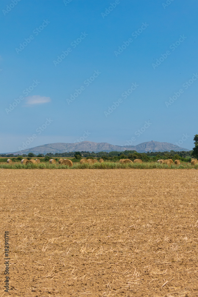 Polish countryside, harvested fields, haystacks. Polish countryside, harvested fields, haystacks.
