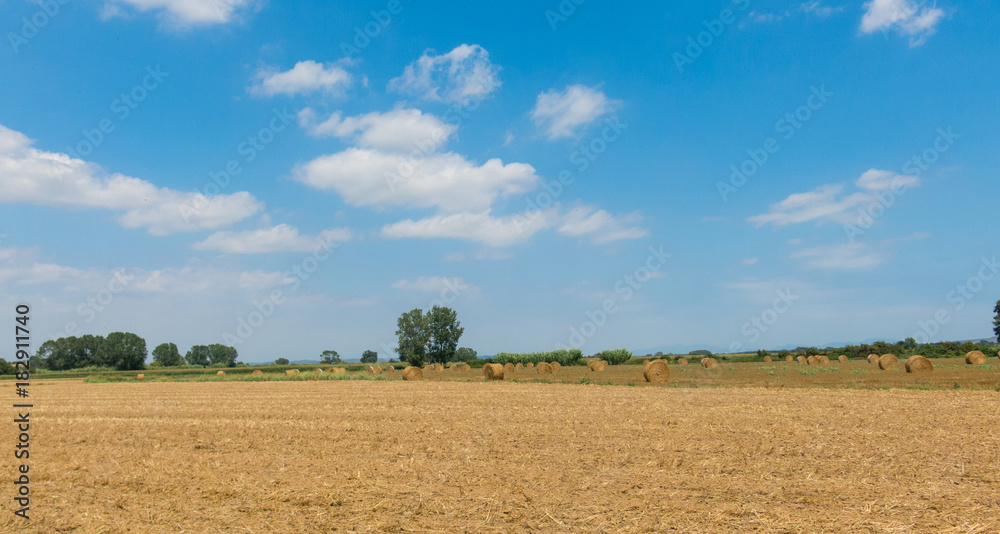 Polish countryside, harvested fields, haystacks.