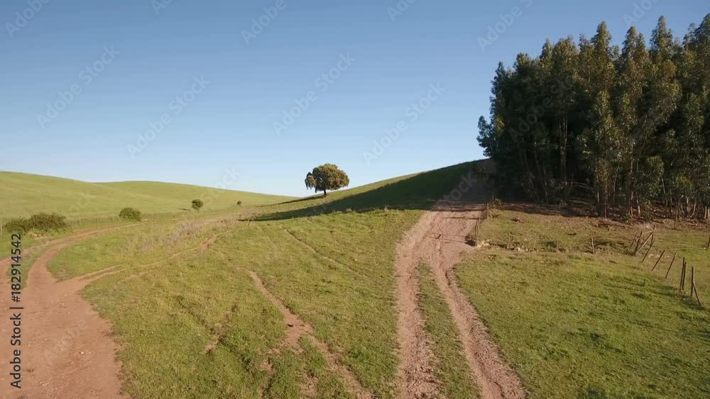 Aerial. Video shooting drone sky, lawns and pastures for agriculture in Alentejo, Portugal. Aerial. Video shooting drone sky, lawns and pastures for agriculture in Alentejo, Portugal.