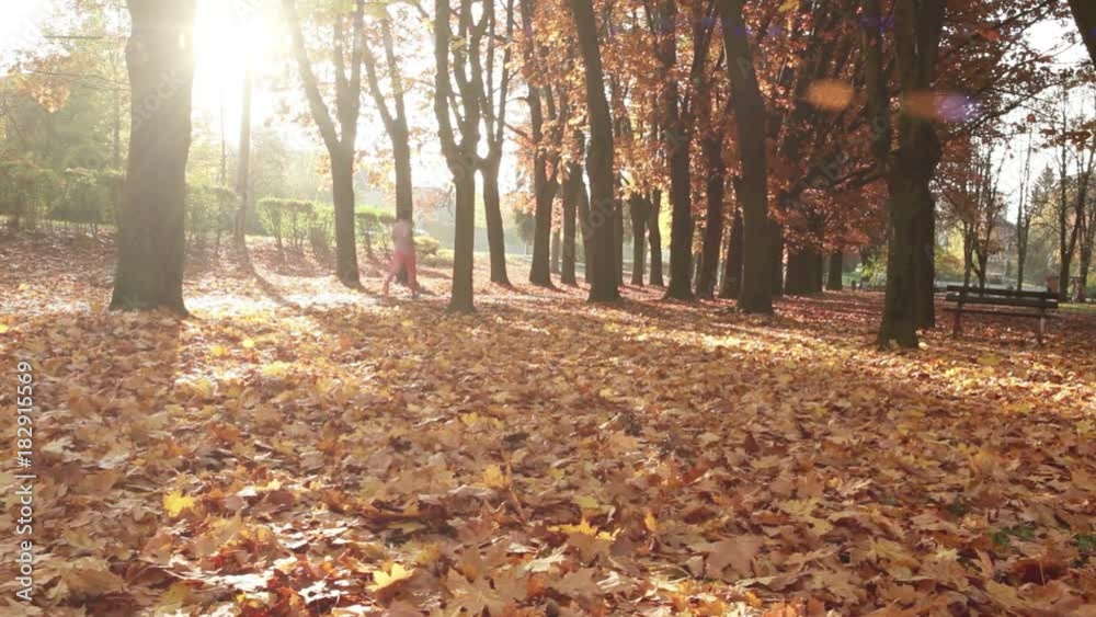 Woman jogs in a park on an early autumn morning Woman jogs in a park on an early autumn morning