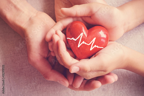 adult and child hands holding red heart, health care, organ donation, family insurance concept, world heart day, world health day, world hypertension day photo