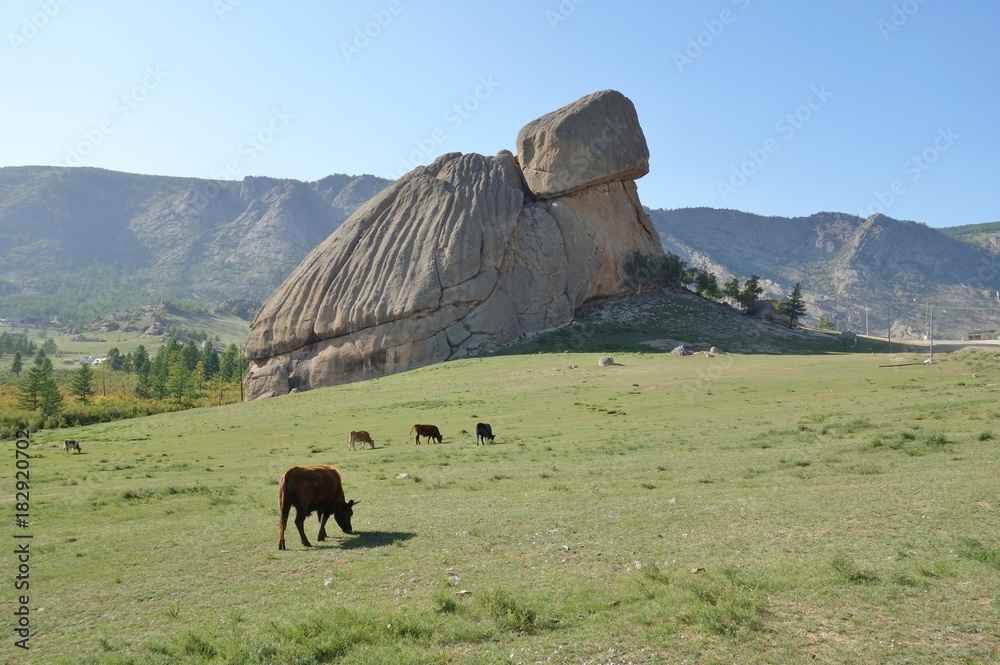 Turtle Rock, a landmark rock formation in the Gorkhi-Terelj National Park  in Mongolia Stock-Foto | Adobe Stock