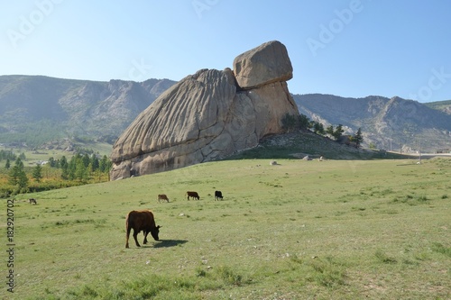 Turtle Rock, a landmark rock formation in the Gorkhi-Terelj National Park in Mongolia photo