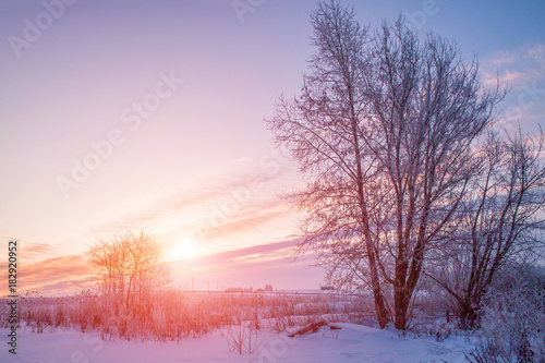 Beautiful winter sunset landscape © Alexey Pelikh