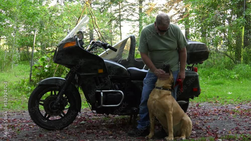 mastiff dog sidecar rider and motorcycle owner getting pet in front of bike 4k mastiff dog sidecar rider and motorcycle owner getting pet in front of bike 4k