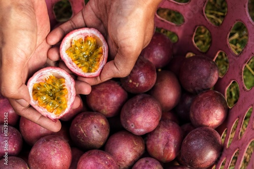 Slika na platnu close up of fresh purple passion fruits harvest from farm
