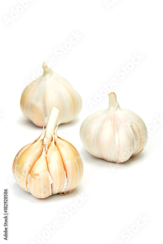 Garlics isolated on white