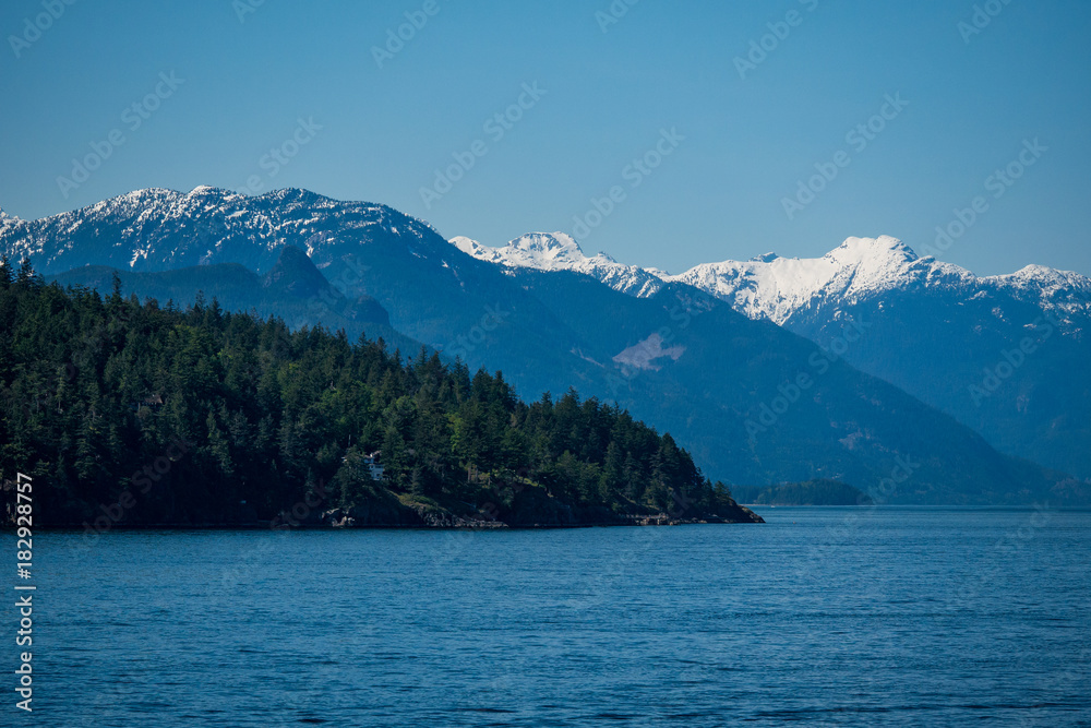 snow covered mountain, forest, ocean landscape