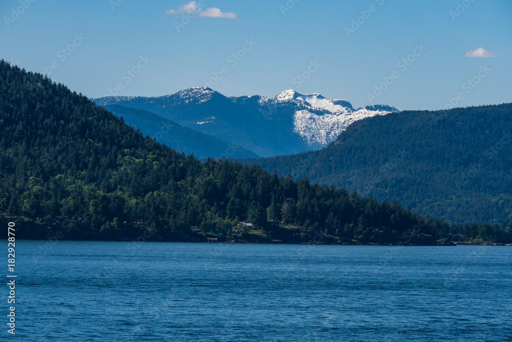 snow covered mountain, forest , ocean