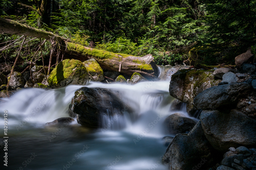 Fototapeta premium creek deep in the forest shot with long exposure