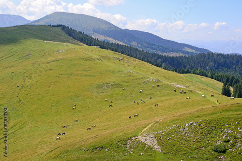 View of mountains near Kainach  Austria