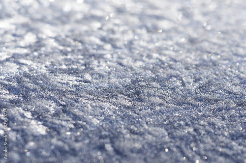 霜 frost_05