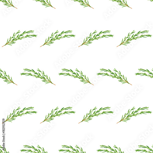 Seamless pattern from rosemary twig isolated on white background