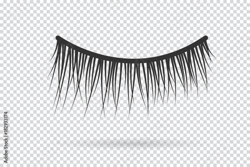 Feminine lashes vector. False eyelashes hand drawn.