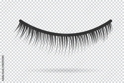 Feminine lashes vector. False eyelashes hand drawn.