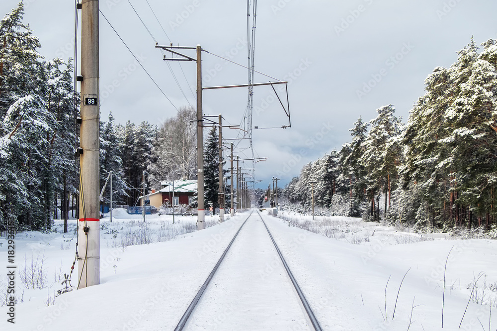 Winter landscape with railway station in Russian woods 2