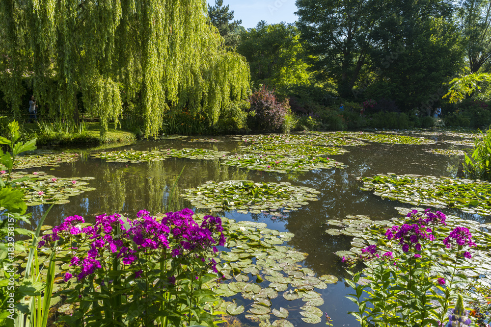 Les jardins de Claude Monet à Giverny en Normandie Stock Photo | Adobe Stock