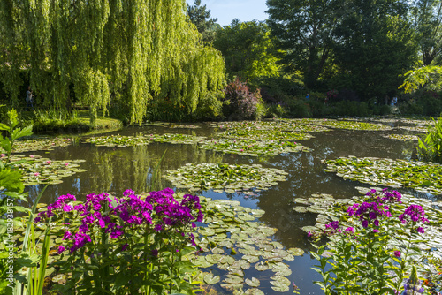 Obraz na plátně Les jardins de Claude Monet à Giverny en Normandie