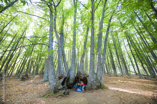 woman and four years age blonde child with red shirt and blue jeans crouched looking at inside a big old trunk under a group of tall chestnut trees in autumn forest
