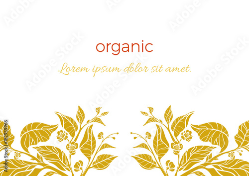 Trendy template. Tea branch with leaves and flowers
