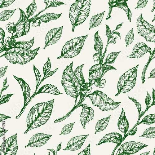 Vector seamless nature pattern. Vintage floral illustration
