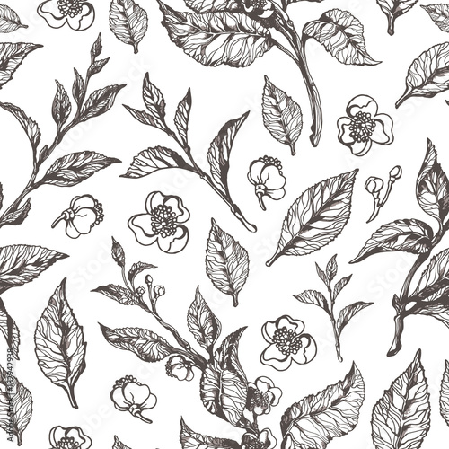 Vector floral seamless pattern. Tea bush.