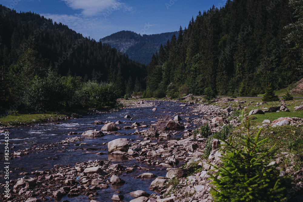 View of the mountain river
