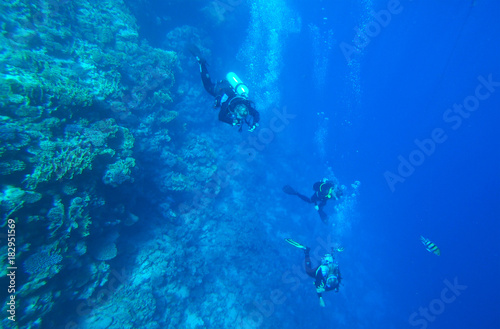 divers in the sea © irynah