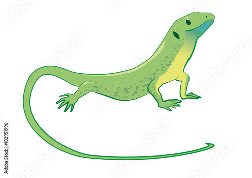 Cute and funny green lizard. Vector illustration