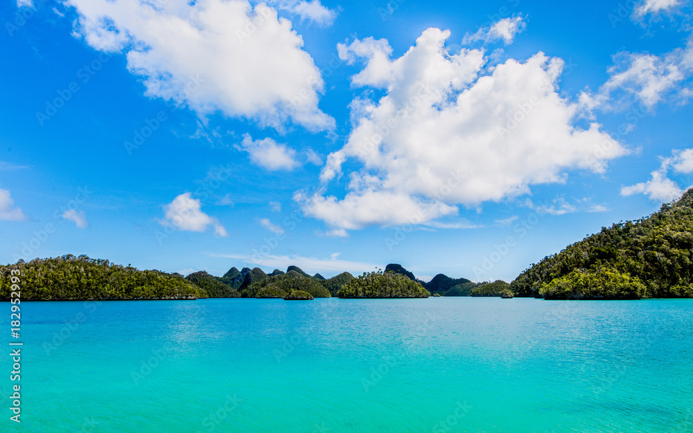 Fototapeta premium Raja Ampat's Tropical Waters