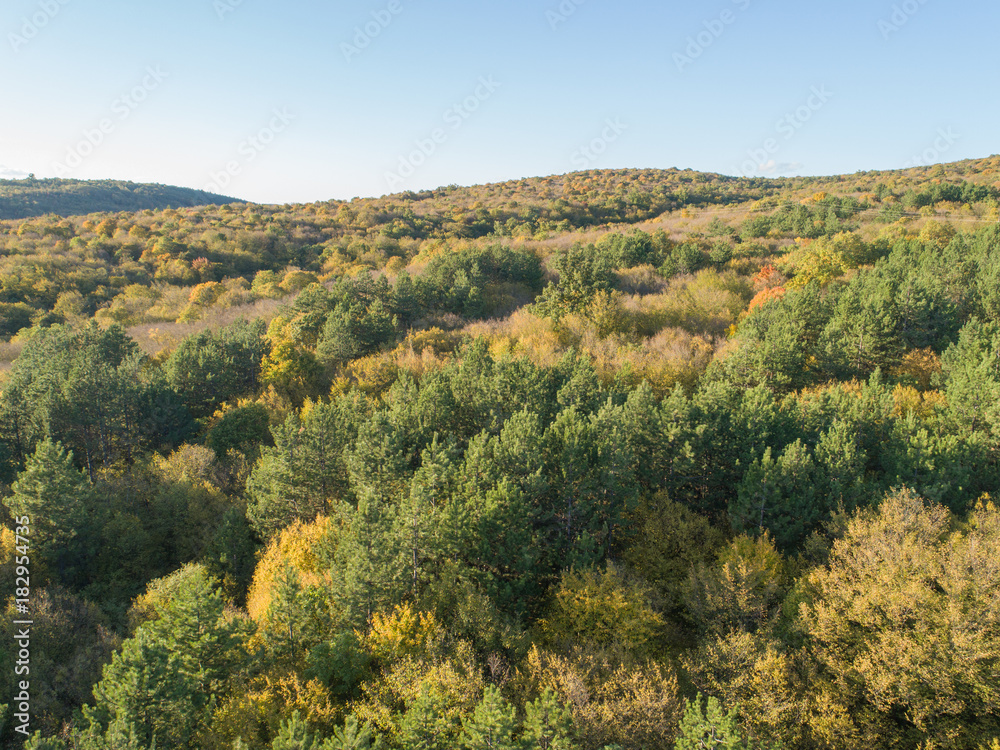 Drone view on the landscape and forest