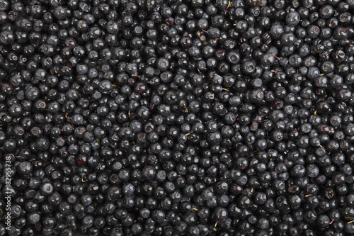 Background of ripe  berries of blueberries. For your design.