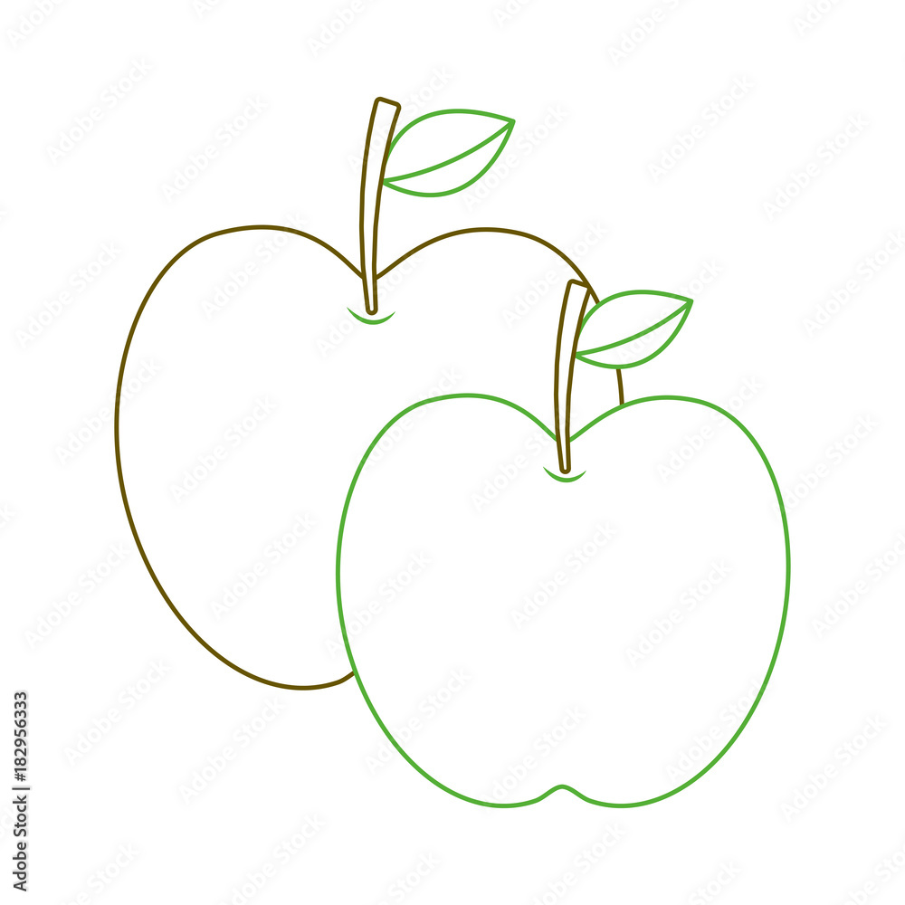 two apple fruit tropical nutrition food health vector illustration green line