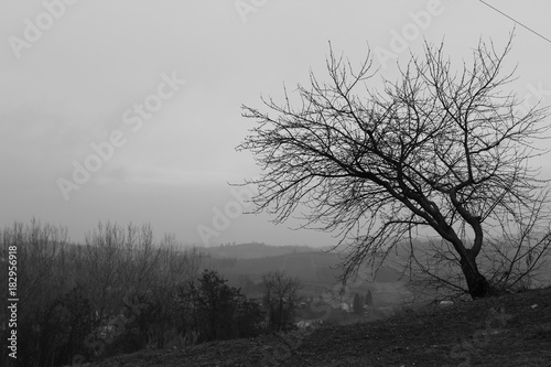 paesaggio in bianco e nero © Sara
