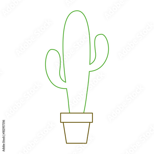 potted cactus plant natural decoration interior vector illustration green line