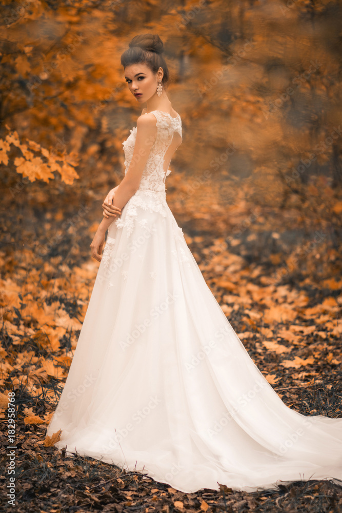 beautiful sensual young brunette bride in long white wedding dress and veil standing in forest beautiful sensual young brunette bride in long white wedding dress and veil standing in forest