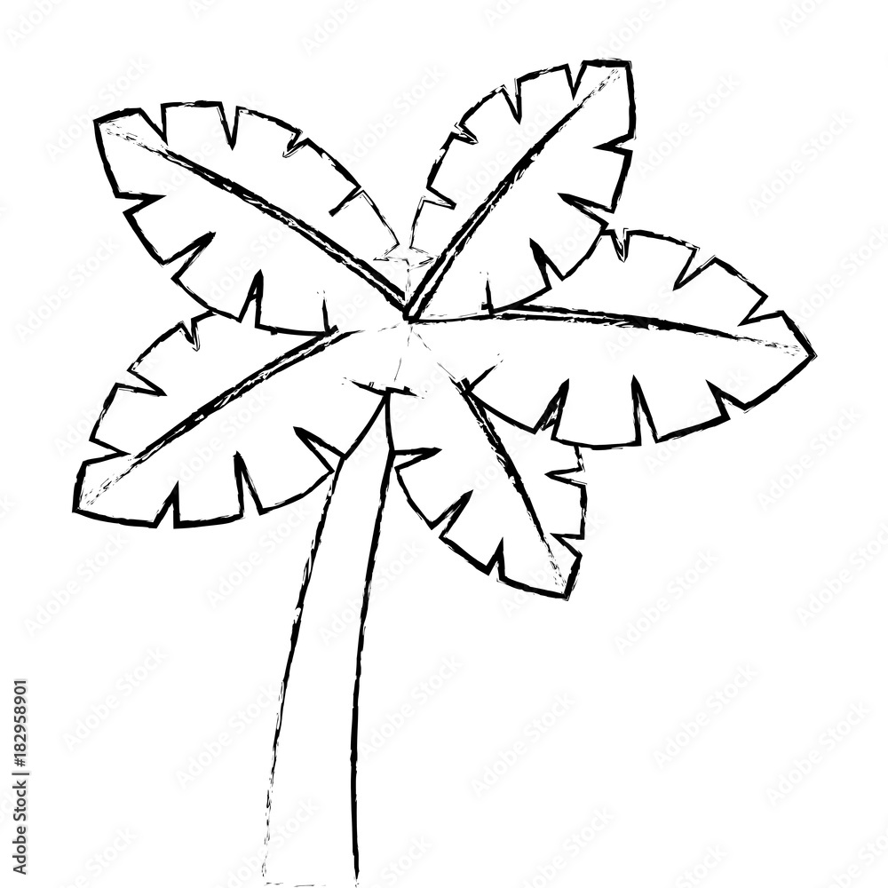 tropical palm tree exotic plant trunk nature vector illustration tropical palm tree exotic plant trunk nature vector illustration