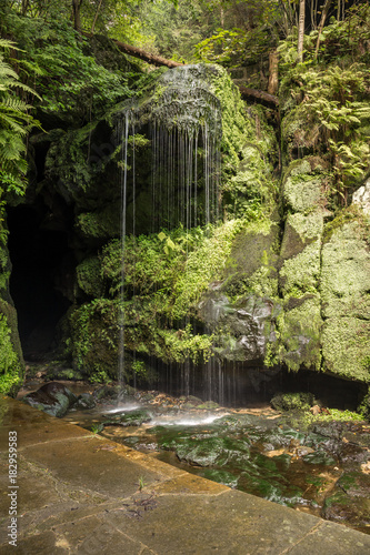 Am Amselfall in Sachsen