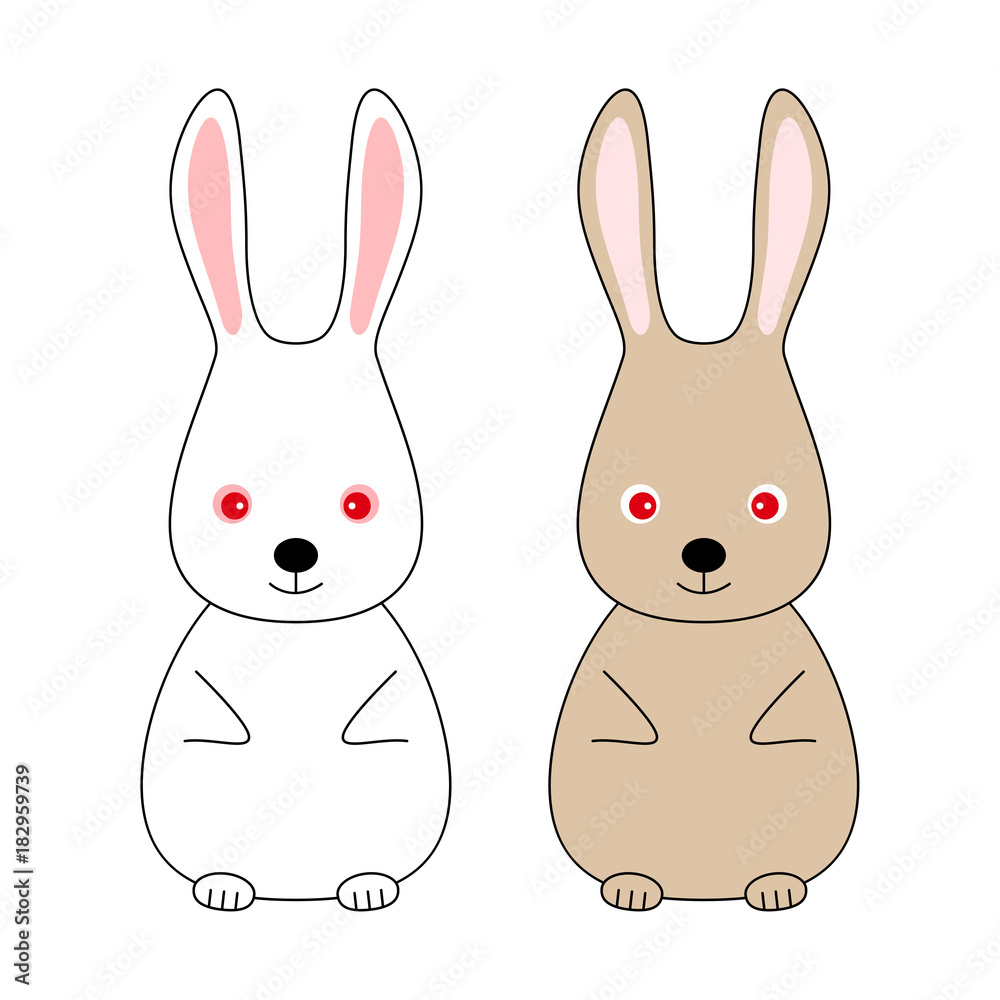 Fototapeta premium ウサギ