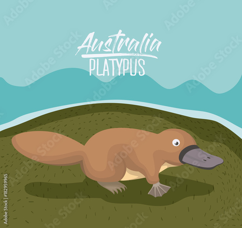 australia platypus poster in colorful outdoor scene vector illustration