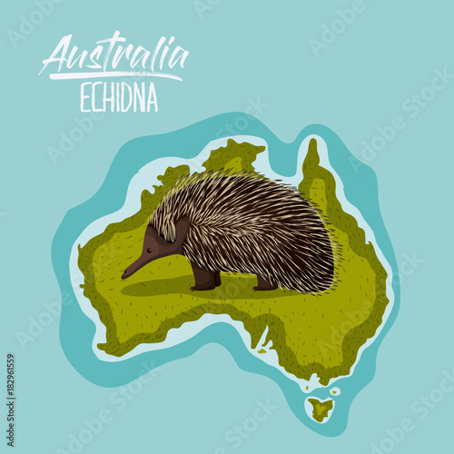 poster echidna in australia map in green surrounded by the ocean vector illustration