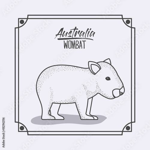 australia wombat in frame and monochrome silhouette vector illustration