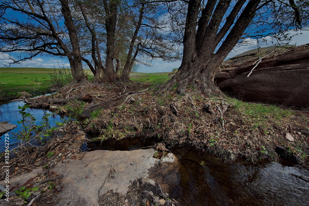 Fototapeta premium Eastern Kazakhstan. Spring on the rivers of the national Park Bayanaul
