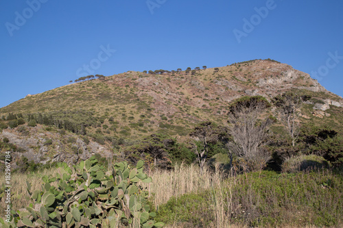 Landscape on the natural beach in the Nature Reserve Laghetti di Marinello 