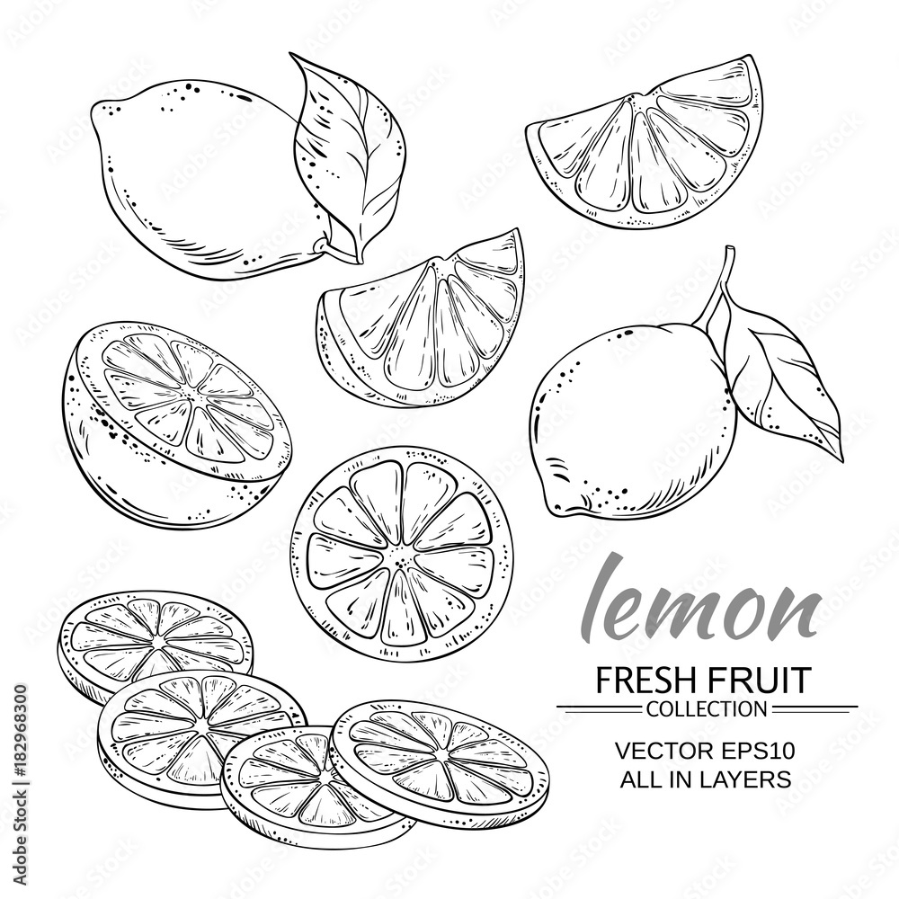 lemon vector set Stock Vector | Adobe Stock