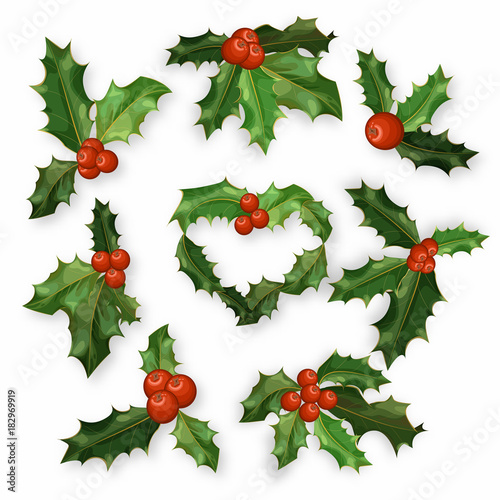 Fototapeta Naklejka Na Ścianę i Meble -  Holly berry leaves Christmas symbol set