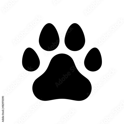 Paw of a dog