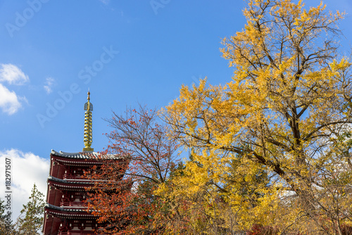 本土寺の五重の塔 秋景色stock Photo Adobe Stock 本土寺の五重の塔 秋景色stock Photo Adobe Stock