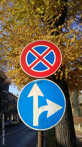 no stopping and turn only direction as arrow european traffic signs against  an urban background photo