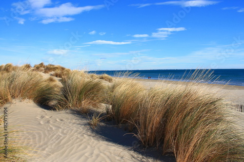 Plage de sable fin en méditerranée, sud de France